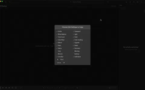 LightCraft Copy Edit Settings dialog